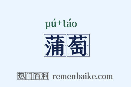 蒲萄是什么意思的图片